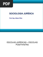 Escolas Jurídicas-Escolas Positivistas