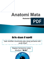 Anatomi Mata