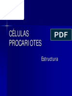 Celulas_procariontes