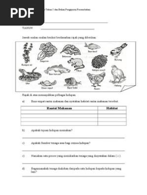 Lembaran Kerja Rantai Makanan Pdf