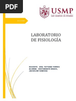2 Lab Fisio Vanessa Bustamante Bravo