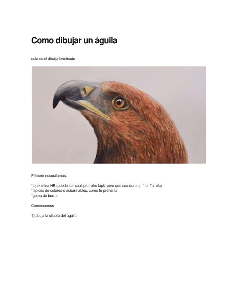 Como Dibujar Un Águila | PDF
