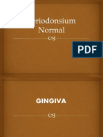 Periodonsium Normal