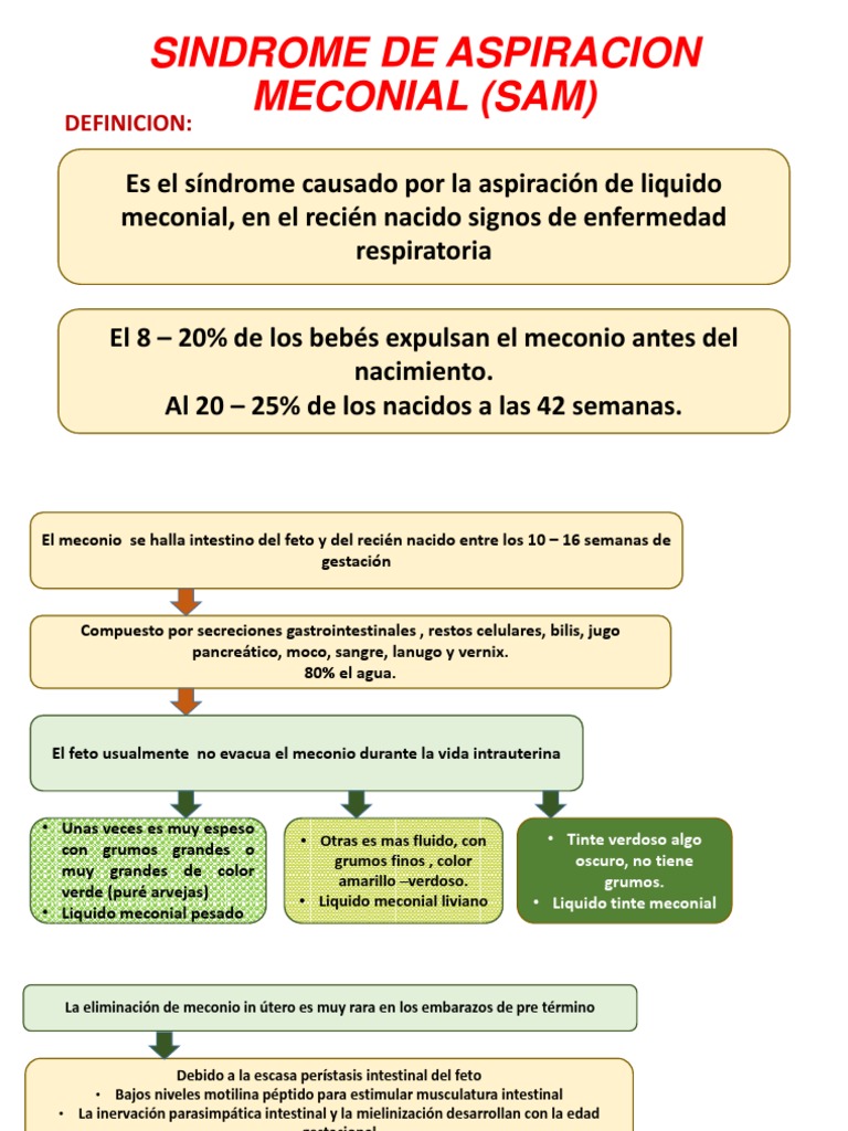 Liquido Meconial | Infantes | El embarazo