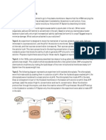 TuTer BioDas I Sebelum UTS - 2012 PDF