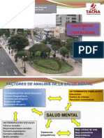 Evaluación Anual de Salud Mental 2012.