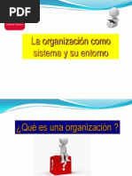 1 Organizacion Como Sistema