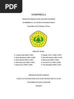 makalah bakteri patogen  Makalah  Salmonella