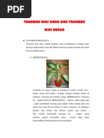Download Tugas Mulok Tanaman Hias by nirwantorahim SN217887603 doc pdf