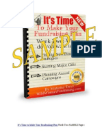Sample of It's Time To Make Your Fundraising Plan E-Course