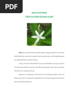 Download Obati Katarak Secara Alami by Yuliana Muharrami SN217891916 doc pdf