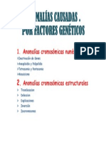 ANOMALÍAS CAUSADAS por factores geneticos