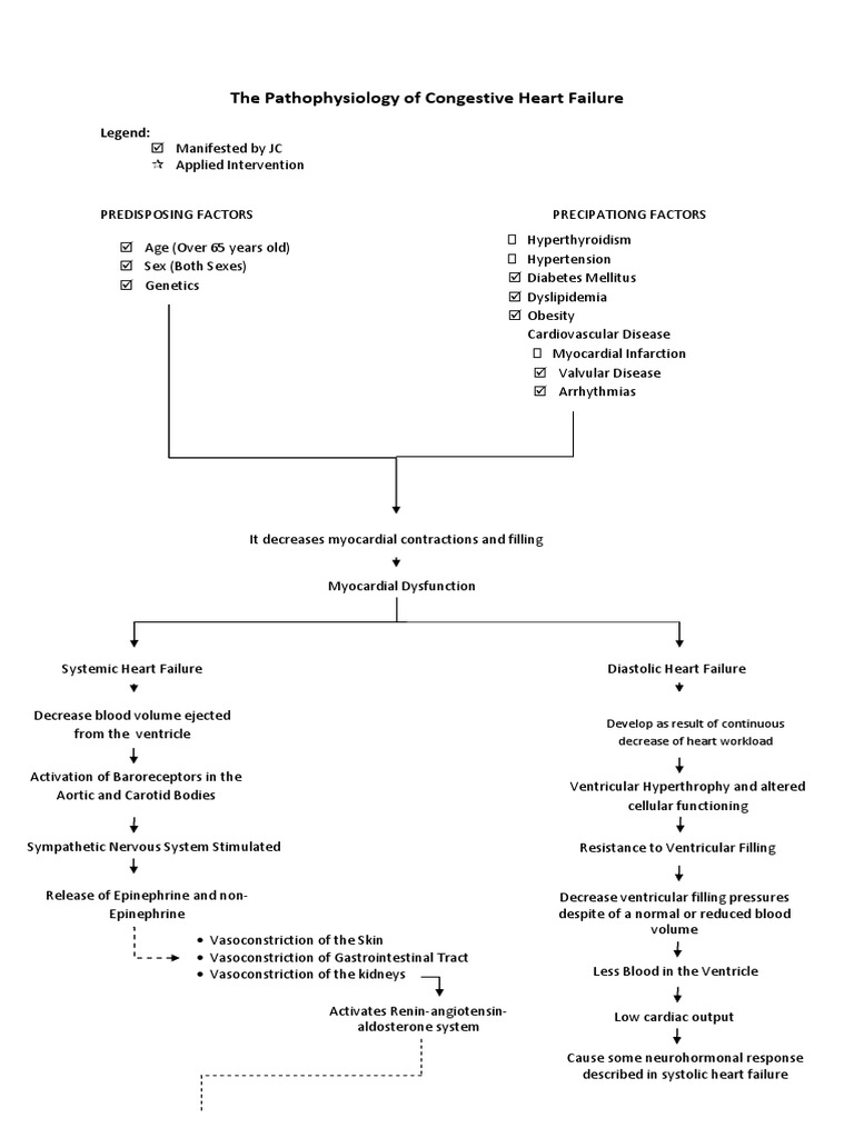 The Pathology of Congestive Heart Failure | PDF | Heart Failure ...