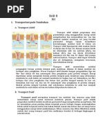 Download Sistem Transportasi Dan Hormon Pada Tumbuhan by Elfira Silvi Arviani SN217913450 doc pdf