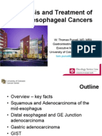 Gastroesophageal Cancer - 2013