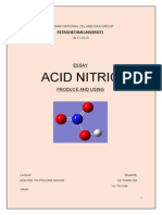Essay Acid Nitric