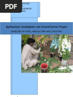 Download internship report Agribusiness Development and Diversification Project by aridian_online SN21793311 doc pdf