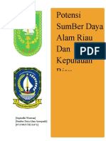 Download Potensi Sumber daya alam Provinsi Riau dan Kepulaian Riau by septiadhi wirawan SN21793975 doc pdf