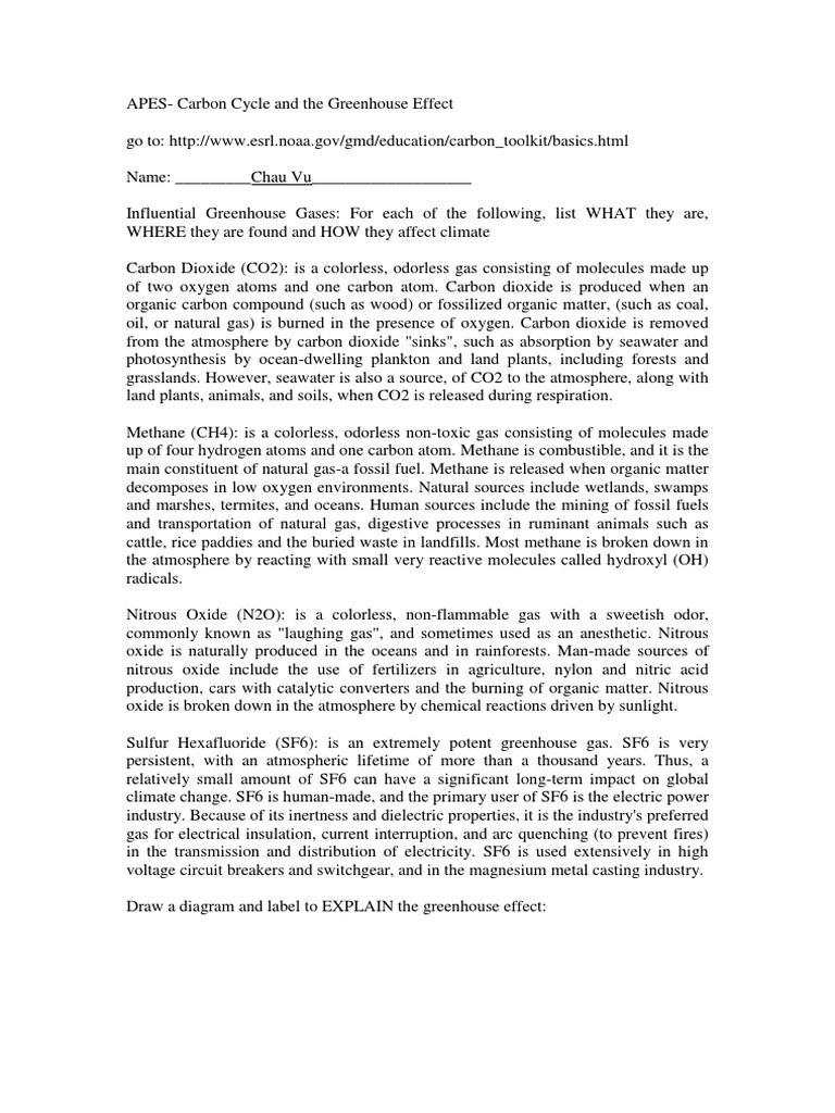 Worksheet Carbon Cycle The Greenhouse Effect Carbon Dioxide In Earth S Atmosphere Carbon Dioxide