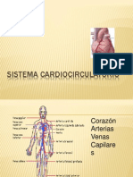 Cardio Circ Ula To Rio