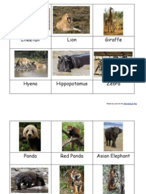 Animals of The 7 Continents | PDF | Organisms | Nature