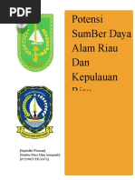 Download Natural resource Potention in Riau and Riau Archipelagos in Indonesia by septiadhi wirawan SN21794860 doc pdf