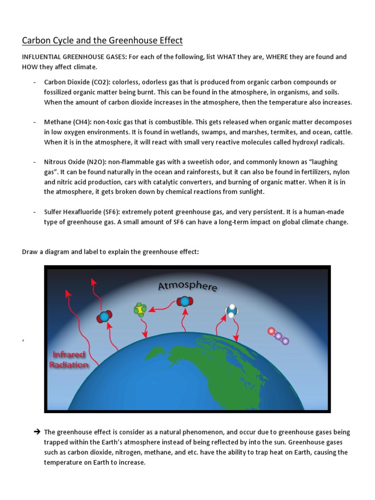 Carbon Cycle And The Greenhouse Effect Pdf Carbon Cycle Carbon Dioxide In Earth S Atmosphere