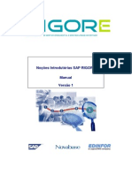 Manual Nocoes Introdutorias SAP RIGORE