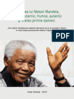 Andy Szekely-Povestea Lui Nelson Mandela-7