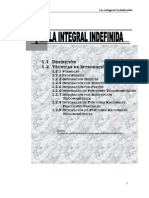 16556740 La Integral Indefinida