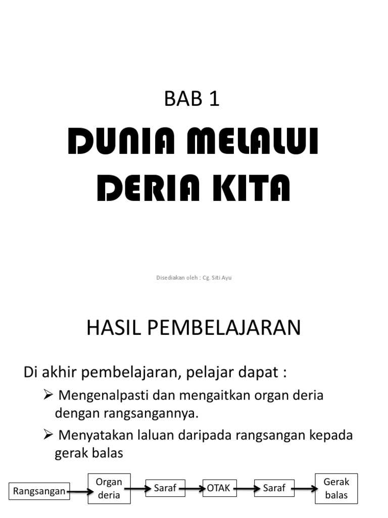 SAINS