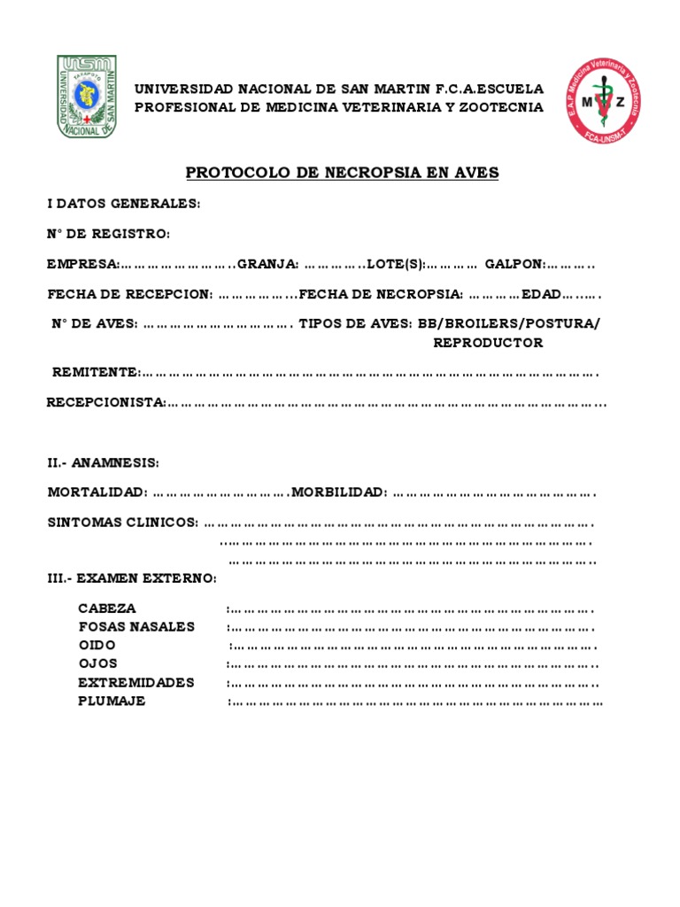 Protocolo de Necropsia Pollos | PDF