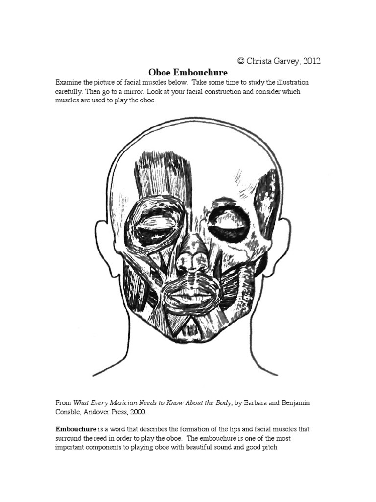 Beginning Oboe Embouchure Handout Oboe Aerophones