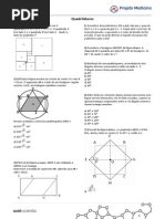 Matematica Geometria Plana Exercicios Gabarito Quadrilateros