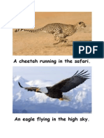 A Cheetah Running in The Safari