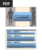 EV6 Yin y Yang Qiao Mai 2