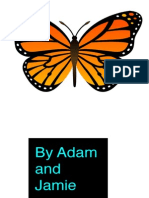 Butterflies-Jamie & Adam