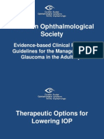 GlaucomaGuidelines Therapeutic Options2009