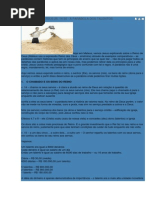 - A PARÁBOLA DOS TALENTOS