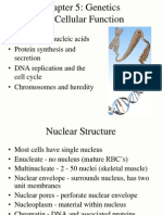 Nucleus and Nucleic Acids - Protein Synthesis and Secretion - DNA Replication and The Cell Cycle - Chromosomes and Heredity