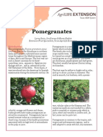 Pomegranates