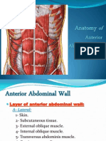 Anterior Abdominal Wall