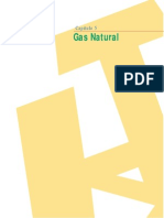 Gas Natural Teoria.pdf_download