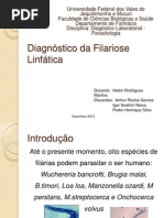 Seminário Filariose _ Diagnóstico Parasitologia
