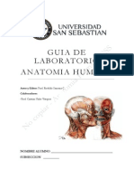 Guia Anatomia Humana (DBIO-1051)