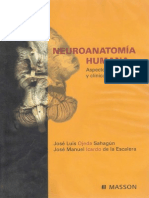 neuroanatomia_humana _ojeda__&_icardo_2004 (1)