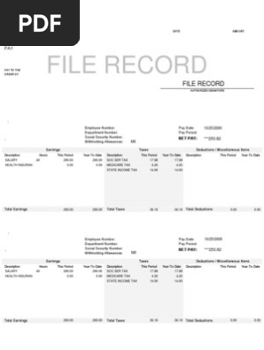 Pay Stub Summary