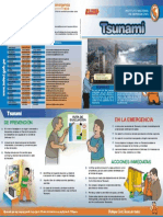 Diferencias Entre Tsunami y Maremoto Defenza Civil PDF