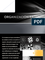 Organización Radial
