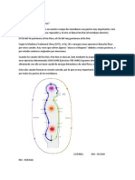 RM y DM: Los meridianos Yin-Yang vitales